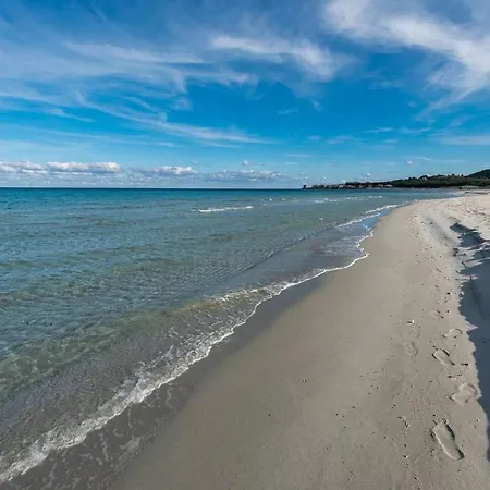 A Cozy Surrounded By The Nature Apartment