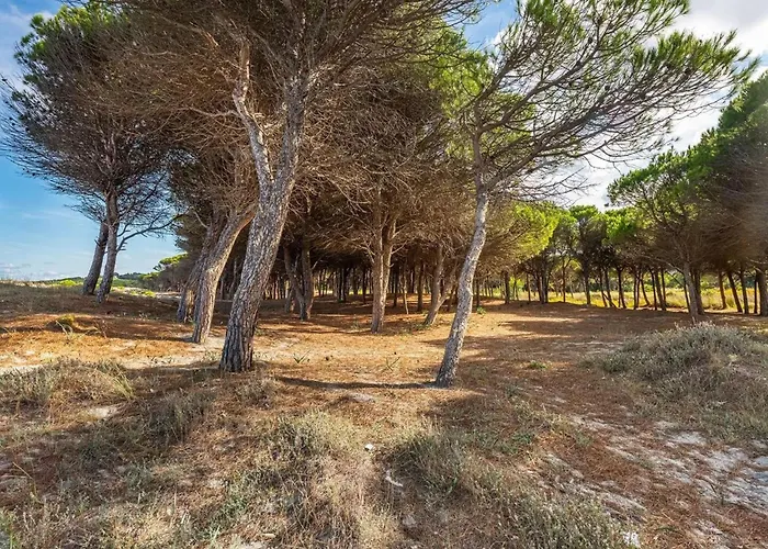 A Cozy Surrounded By The Nature Santa Lucia (Sardinia)