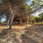 A Cozy Surrounded By The Nature Santa Lucia (Sardinia)