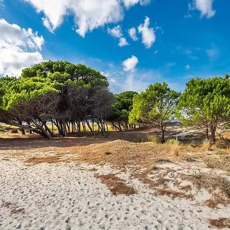 A Cozy Surrounded By The Nature * Santa Lucia