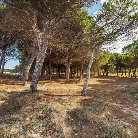 A Cozy Surrounded By The Nature Santa Lucia