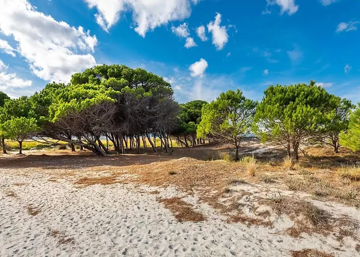 A Cozy Surrounded By The Nature * Santa Lucia (Sardinia)