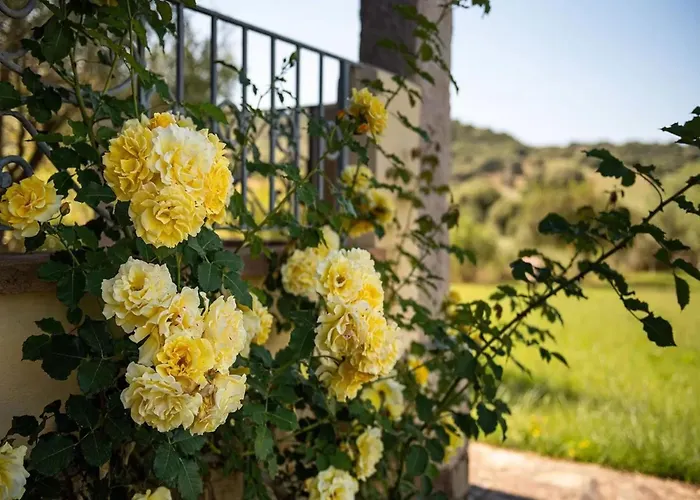 A Cozy Surrounded By The Nature Daire *